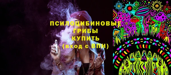 МДПВ Тында