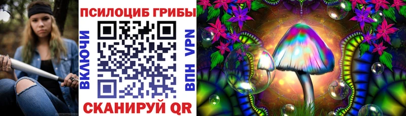 Галлюциногенные грибы Psilocybine cubensis  закладка  Гремячинск 
